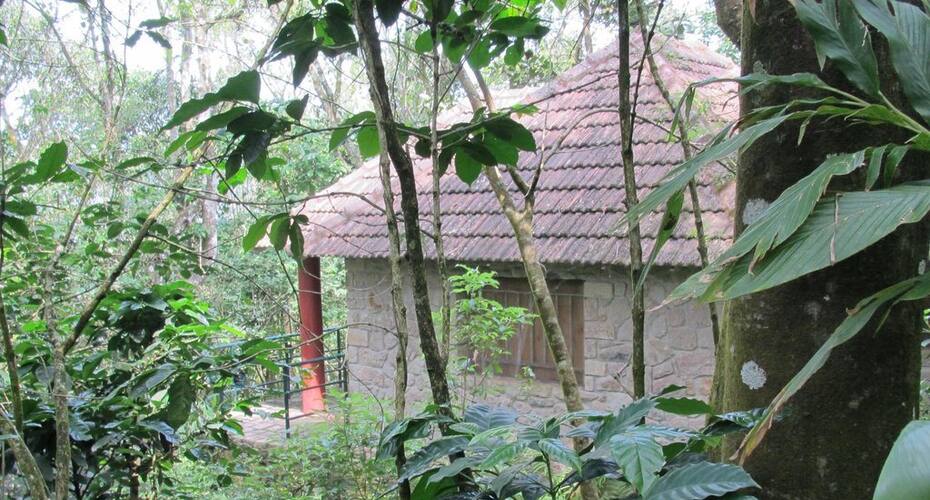 Indhrivanam Resort, Thekkady 4
